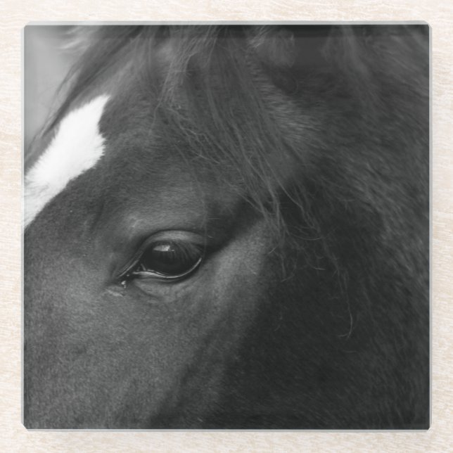 Horse coastercna glass coaster (Front)