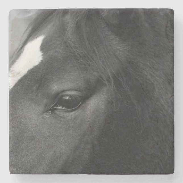 Horse coastercna stone coaster (Front)