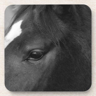 Horse coastercnm coaster