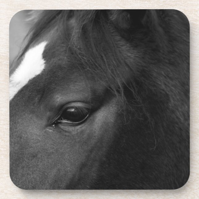 Horse coastercnm coaster (Front)