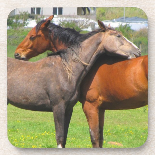 Horse coasters (Front)
