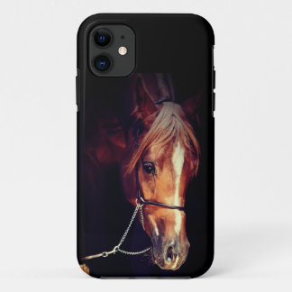 horse collection. arabian red kindle case
