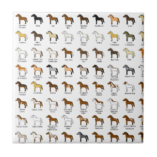 Horse Colours Tile