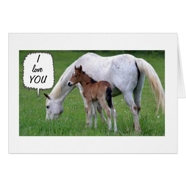 HORSE/COLT HELP DECLARE LOVE AT CHRISTMAS (Front Horizontal)