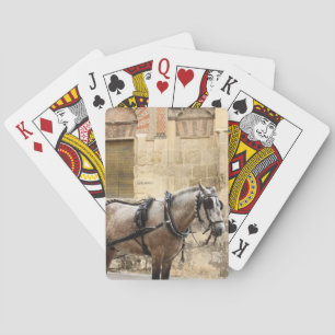 Horse Cordoba Spain Playing Cards