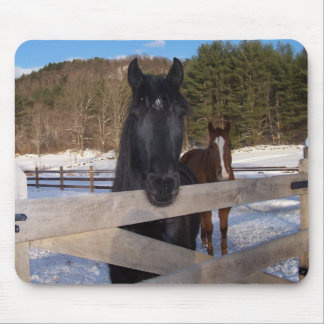 HORSE COUNTRY MOUSE MAT