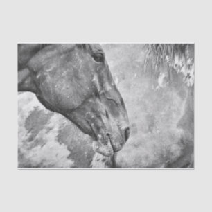 Horse Country Rustic Black And White Decoupage Tissue Paper