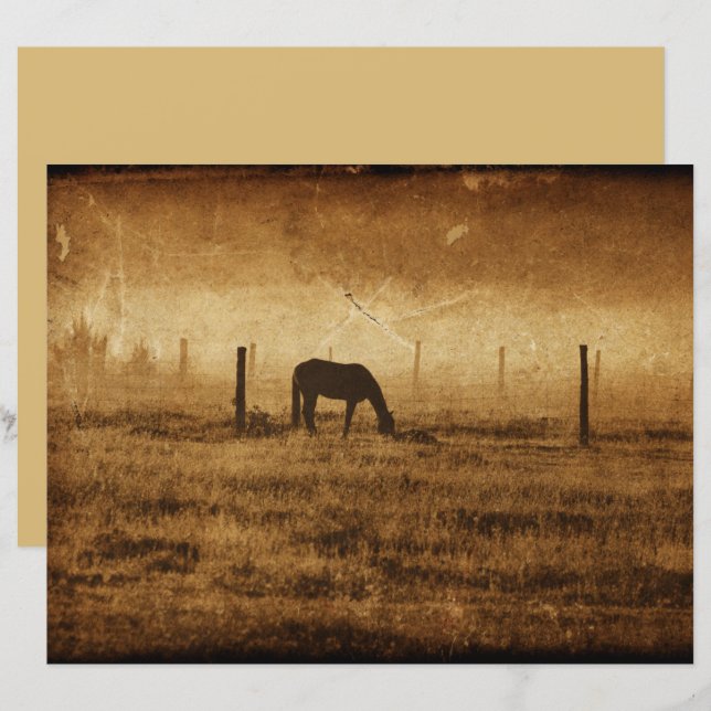 Horse Country Rustic Vintage Texture Decoupage (Front/Back)