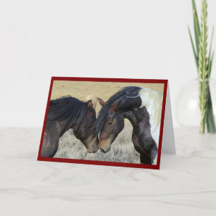 Horse Couple Anniversary Greeting Card