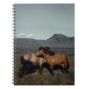 HORSE COUPLE NOTEBOOK