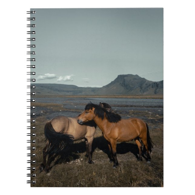 HORSE COUPLE NOTEBOOK (Front)