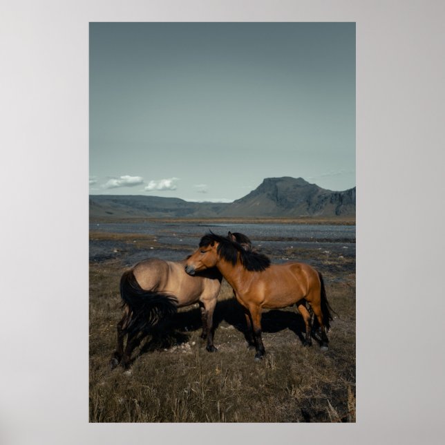 HORSE COUPLE POSTER (Front)