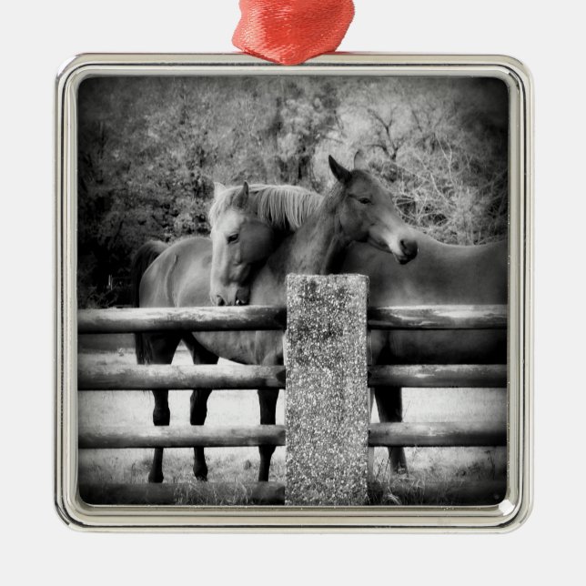 Horse Couple - Tender Love on the Farm Metal Tree Decoration (Front)