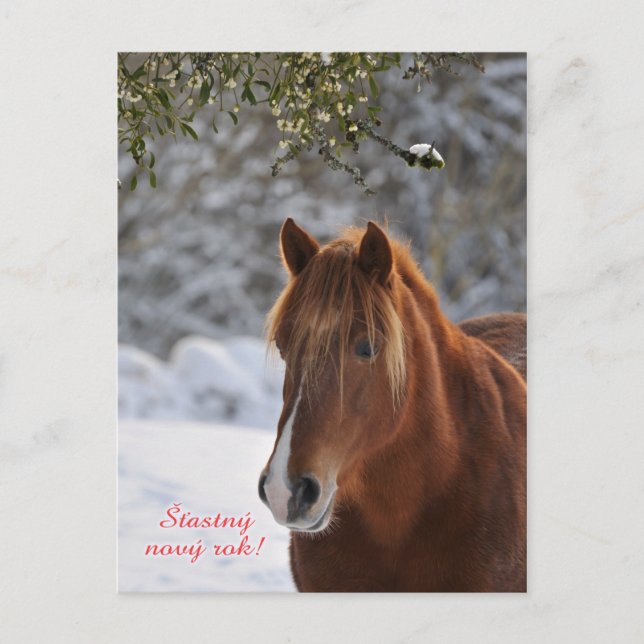 Horse Czech New Year postcard (Front)