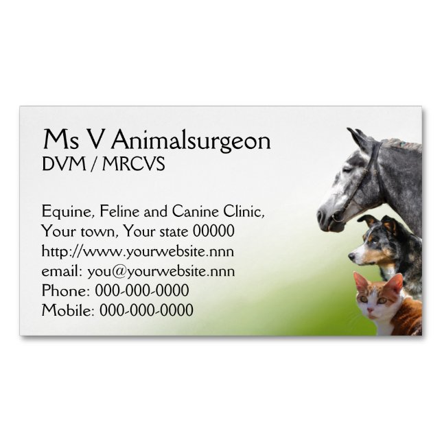 Horse, dog and cat vet practice 	Magnetic business card (Front)
