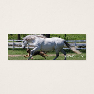 HORSE & DOG EMBRACE LIFE