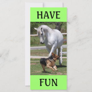 HORSE & DOG PLAY
