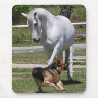 HORSE & DOG PLAY MOUSE MAT