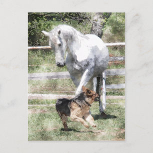 HORSE & DOG PLAY WATERCOLOR POSTCARD