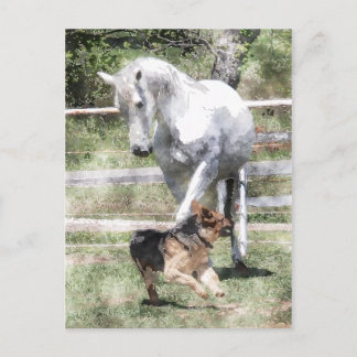 HORSE & DOG PLAY WATERCOLOR POSTCARD