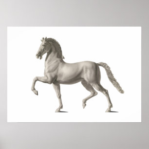 Horse, Domenico Marchetti - Giovanni Tognolli Poster