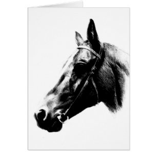 Horse Drawing Artwork Card