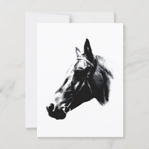 Horse Drawing Artwork Card