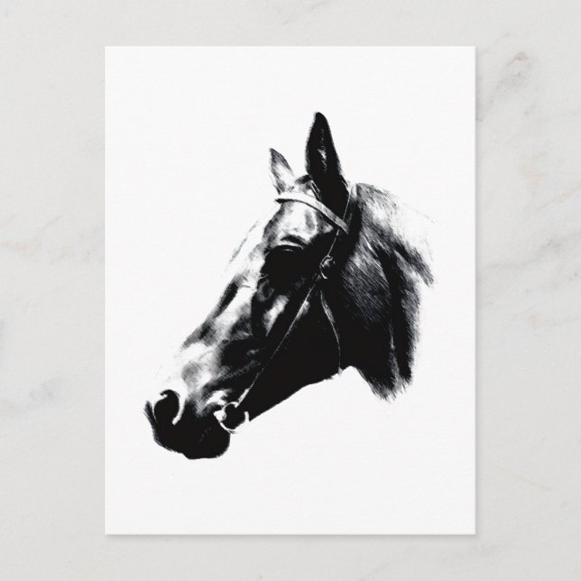 Horse Drawing Artwork Card (Front)