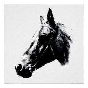 Horse Drawing Artwork Card Poster