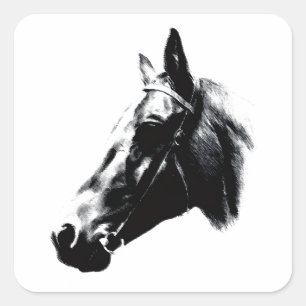 Horse Drawing Artwork Card Square Sticker