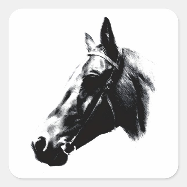 Horse Drawing Artwork Card Square Sticker (Front)
