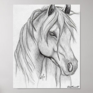 horse drawing Poster