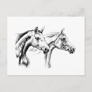 Horse drawing sketch art handmade postcard