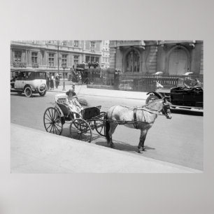 Horse Drawn Buggy: early 1900s Poster