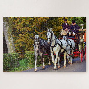 Horse drawn carriage in park jigsaw puzzle