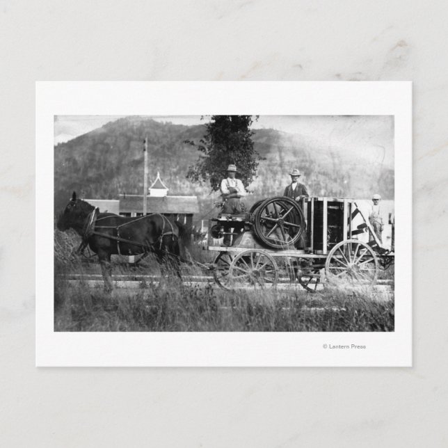 Horse Drawn Cart Postcard (Front)