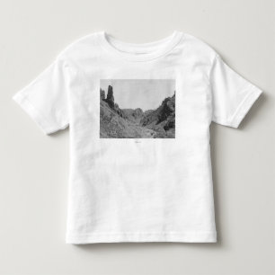 Horse-Drawn Coach in Phantom Ridge Photograph Toddler T-Shirt