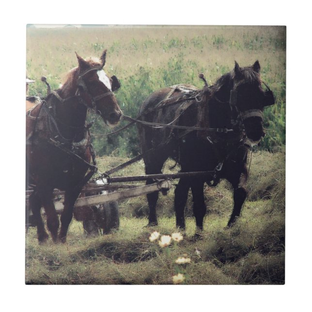 Horse Drawn Equipment Farming Making Hay Tile (Front)