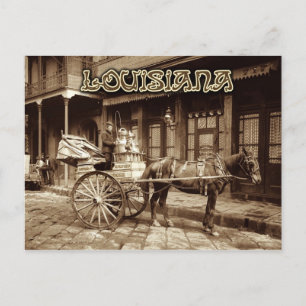 Horse drawn milk cart, New Orleans, Louisiana Postcard