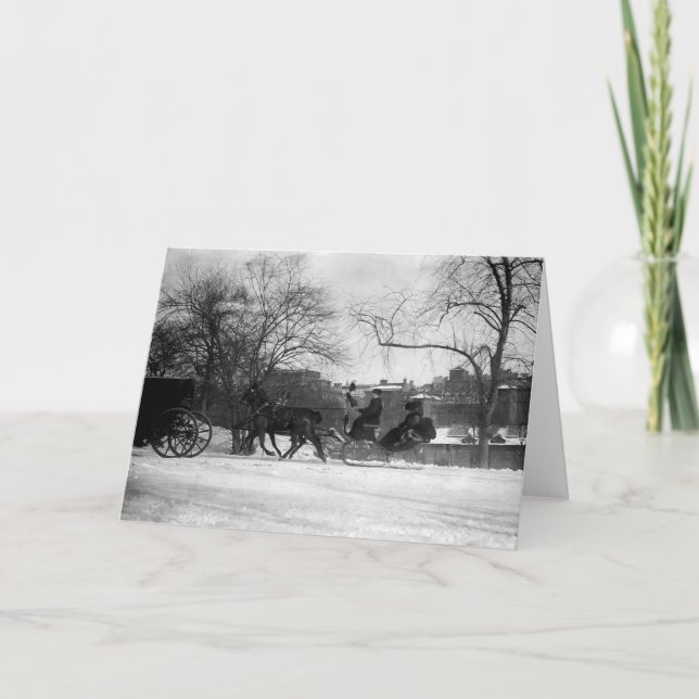 Horse Drawn Sleigh NYC Greeting Card (Front)