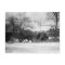 Horse Drawn Sleigh NYC Postcard