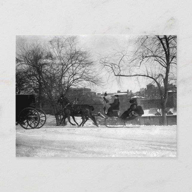Horse Drawn Sleigh NYC Postcard (Front)