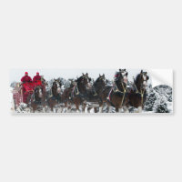 Horse drawn sleigh ride