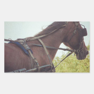 Horse Drawn Transportation Rectangular Sticker
