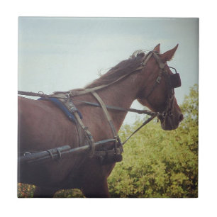 Horse Drawn Transportation Tile