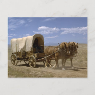 Horse drawn wagon postcard