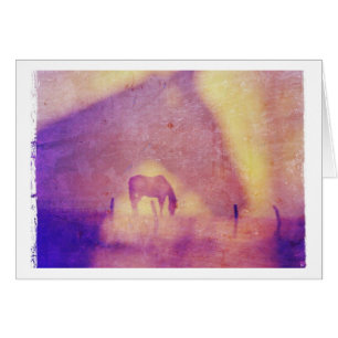 Horse Dreams All Occasions