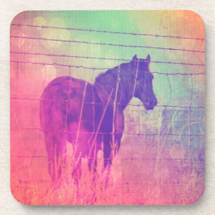 Horse Dreams Coaster