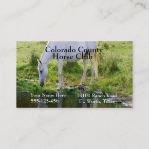 Horse Drinking Water Photo Print Business Card