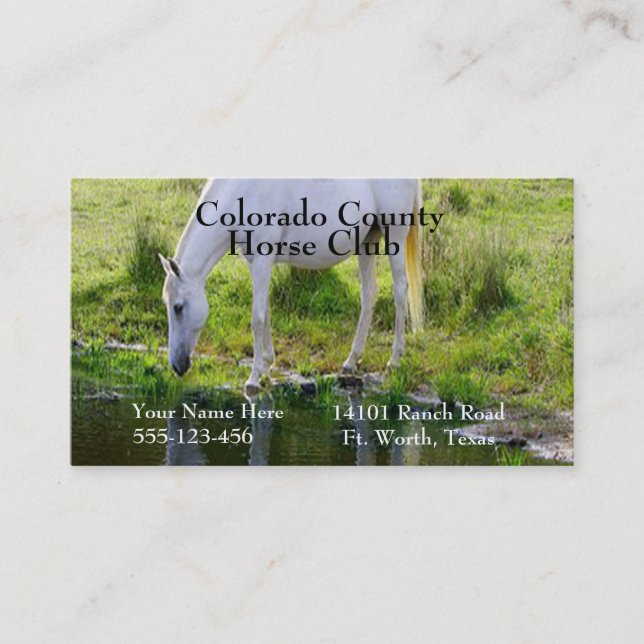 Horse Drinking Water Photo Print Business Card (Front)